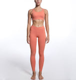 Crop Sports Bra High Waist Yoga Pants 2 Pieces  Workout Sets