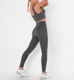 Seamless 2 Piece Sport Bra High Waist Yoga Leggings Sets