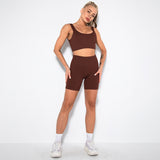 2 Piece Seamless Ribbed High Waist Shorts And Tops