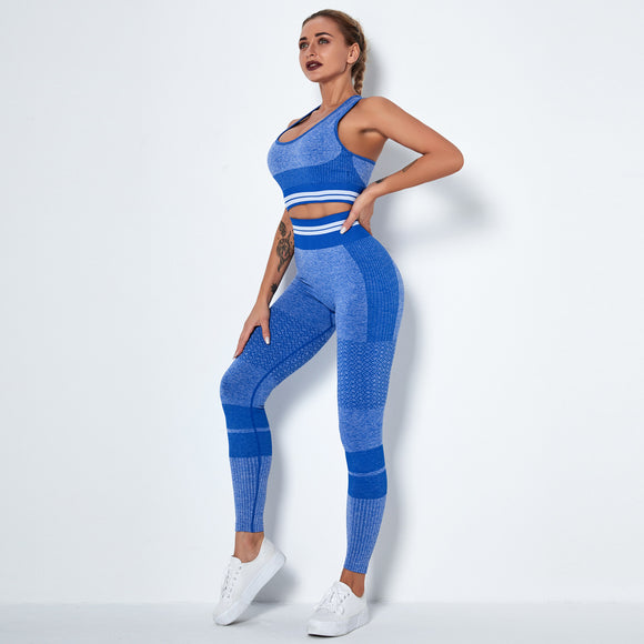 Workout Set High Waist Leggings Seamless Yoga Activewear Set