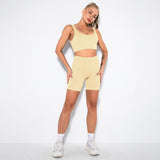 2 Piece Seamless Ribbed High Waist Shorts And Tops