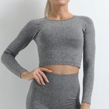 Female Workout Leggings Top Sport Clothes Seamless Yoga Set Gym Fitness Clothing Women Yoga Suit