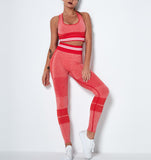 Workout Set High Waist Leggings Seamless Yoga Activewear Set