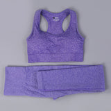 Free Sample Wholesale Seamless High Waisted Yoga Pants Ribbed Leggings And Crop Top Set 3 Pieces