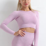 Female Workout Leggings Top Sport Clothes Seamless Yoga Set Gym Fitness Clothing Women Yoga Suit