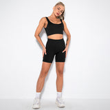 2 Piece Seamless Ribbed High Waist Shorts And Tops