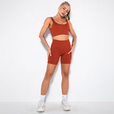 2 Piece Seamless Ribbed High Waist Shorts And Tops