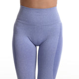 High Waist Workout Gym Seamless Leggings Yoga Pants