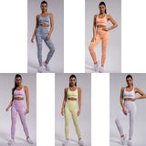 Woven Leopard Seamless 2 Piece Leggings Crop Top Set