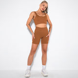 2 Piece Seamless Ribbed High Waist Shorts And Tops