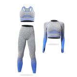 Custom Athletic Women Wear Workout Clothing  3 Piece Seamless Sports Bra High Waist Leggings
